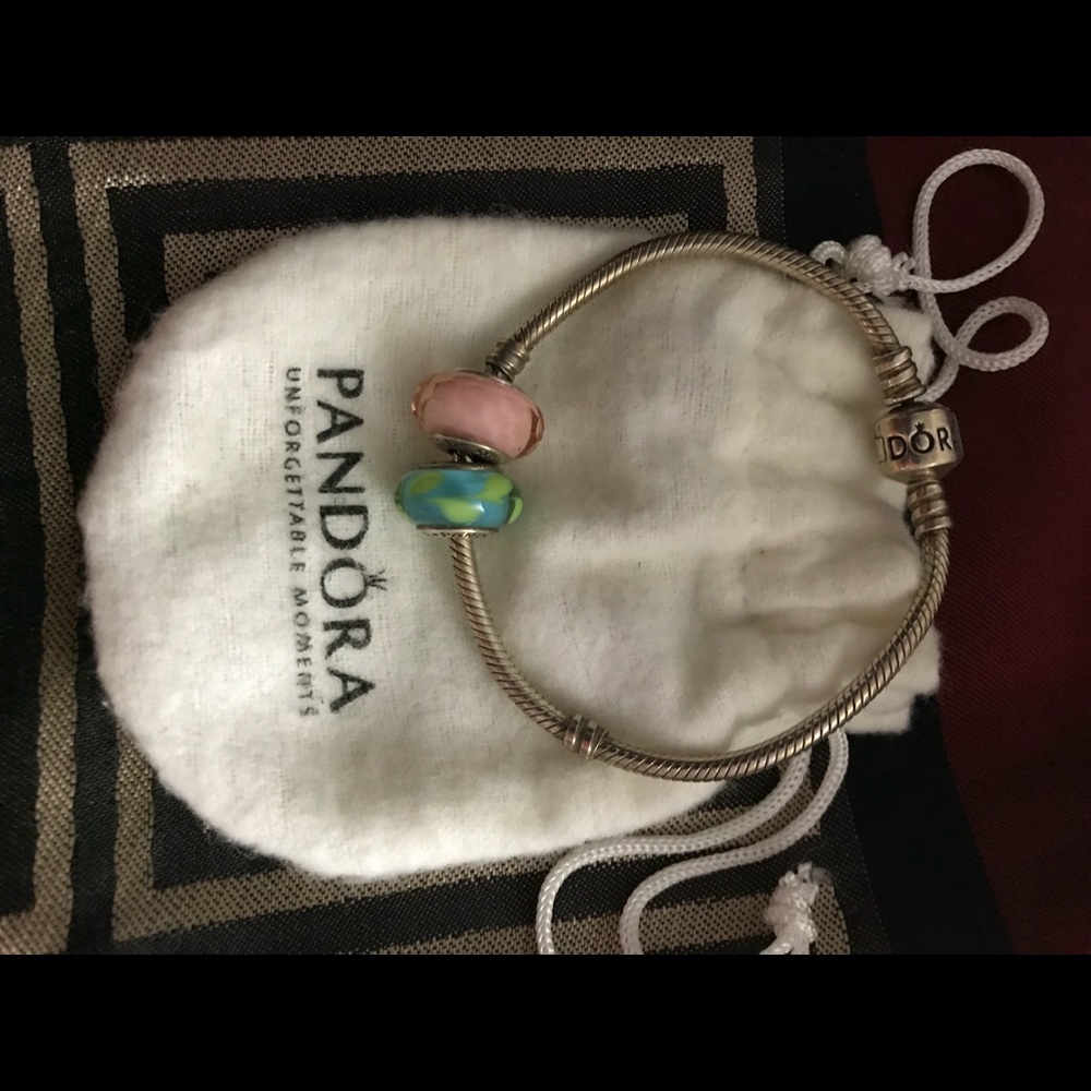 Pandora Bracelet with Charms